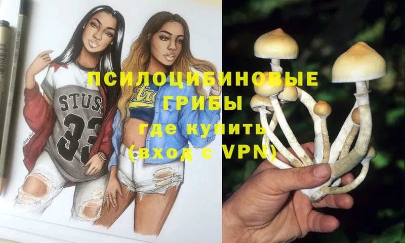 Галлюциногенные грибы MAGIC MUSHROOMS  Валуйки 